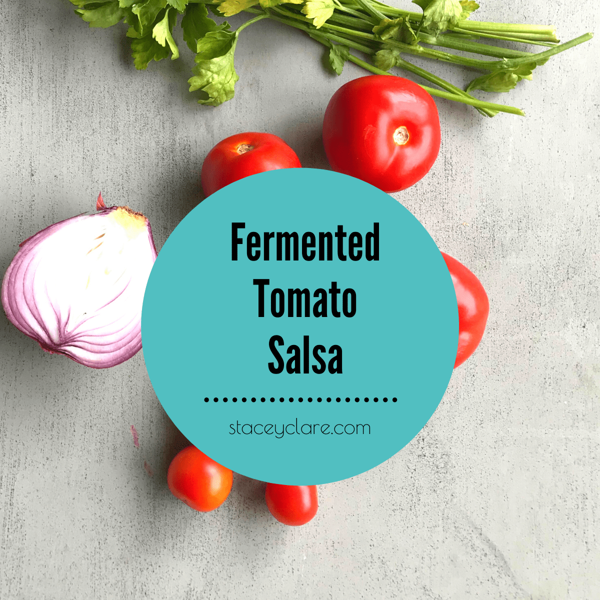 Easy Recipe For How To Make Fermented Salsa