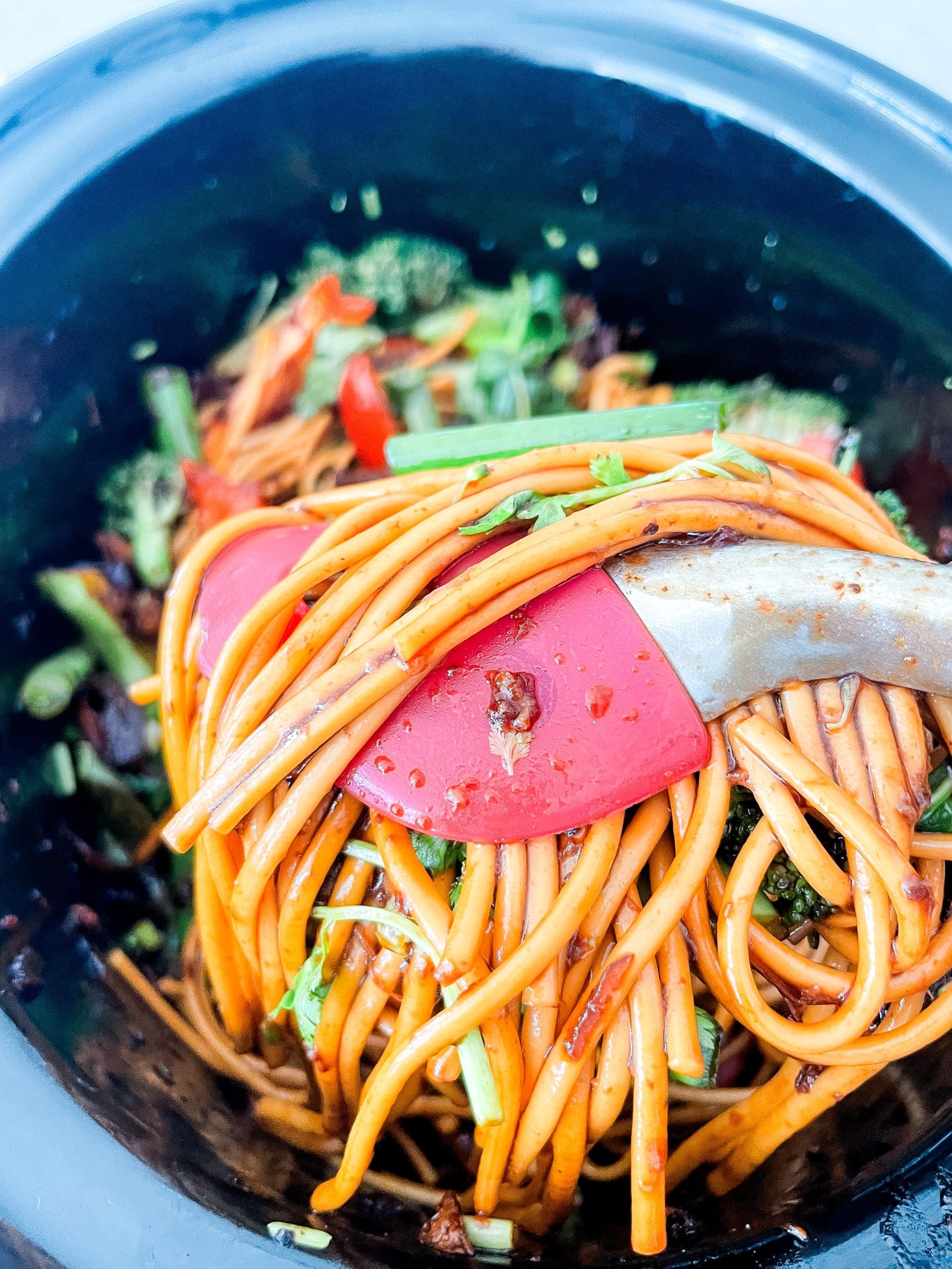 Slow Cooker Honey Soy Chicken Noodles